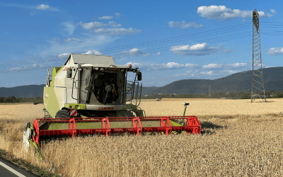 La période de la fenaison bat son plein : notre agence de transport agricole à Blois est à votre service.