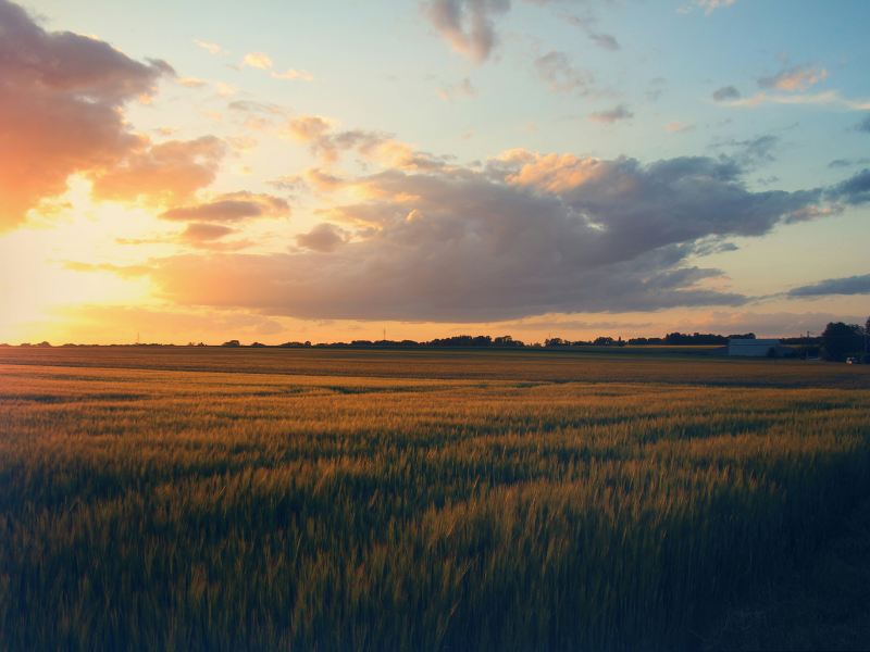 Pourquoi Solupal s’est implanté dans le Loir-et-Cher : la force d’un réseau régional performant