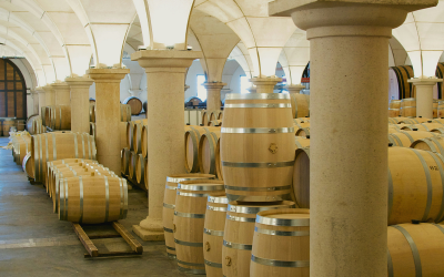 Marché du vin : quelles perspectives pour le transport au second semestre 2025 ?