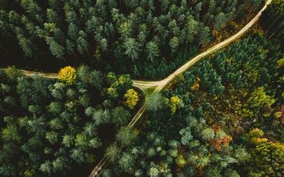 Camions GNV vs Diesel Camion GNV vs Diesel : quels avantages pour le transport routier de marchandises ?